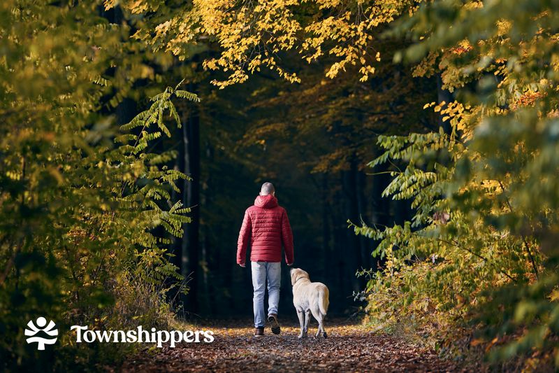 Santé mentale et bien-être à l’automne
